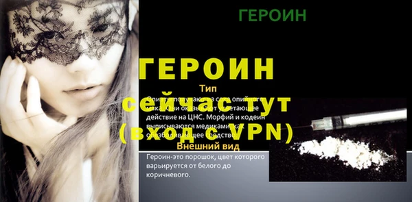 сатива Коряжма