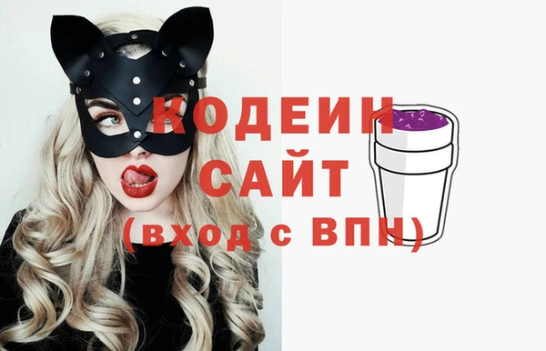 сатива Коряжма