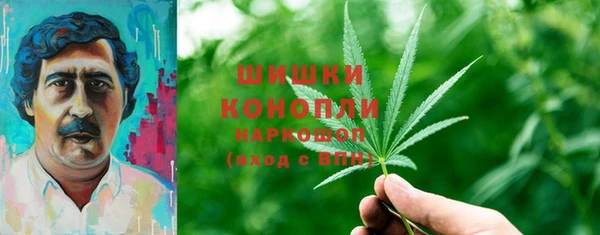 ECSTASY Костерёво