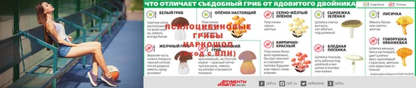 ECSTASY Костерёво