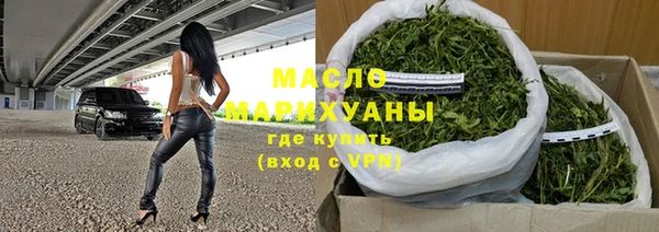 сатива Коряжма